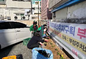 (2021.11.19.) 새마을부녀회 겨울초화 식재 이미지