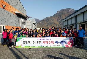 약사동, 자매결연지 사과수확 일손돕기 이미지