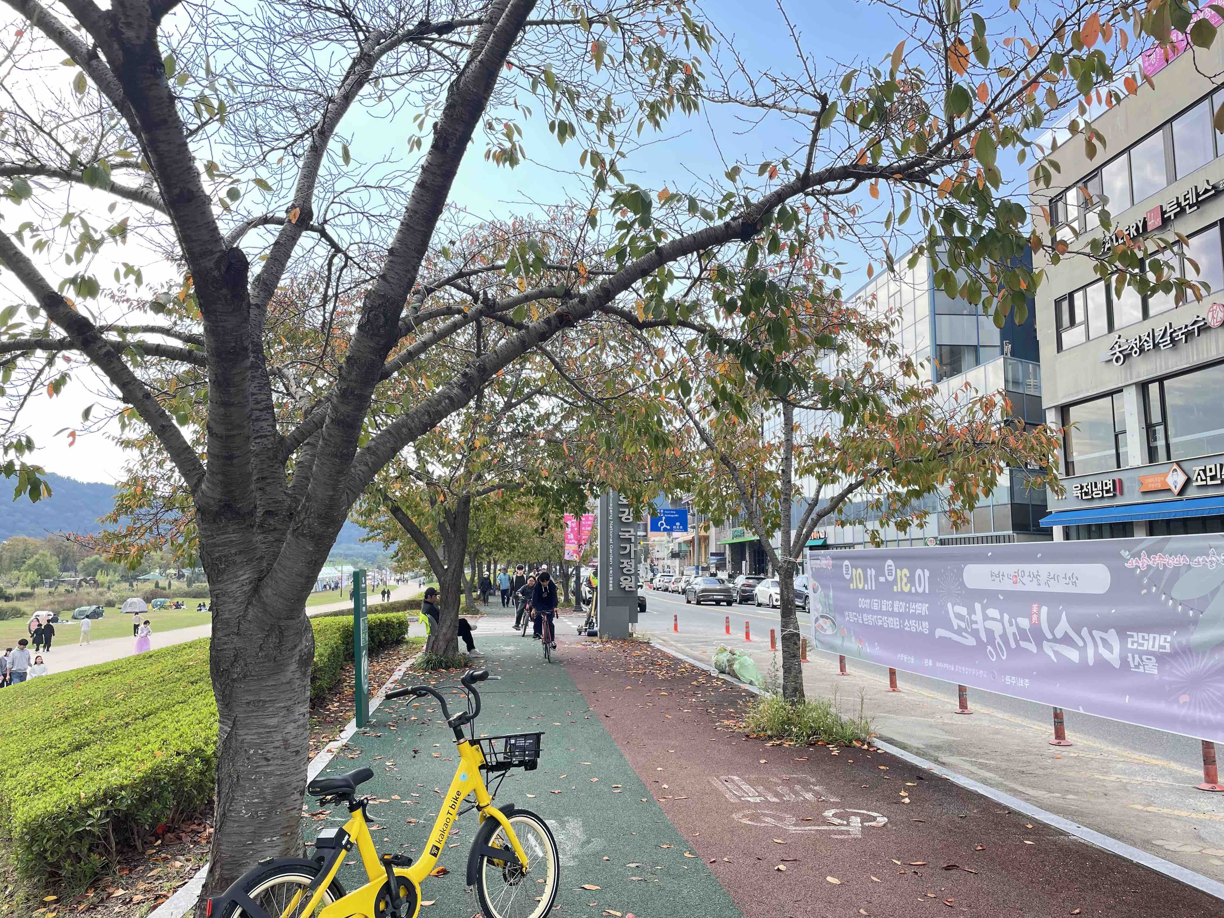 태화강 국가정원길에 보행자도로와 자전거 도로를 재정비 부탁드립니다. 이미지(1)