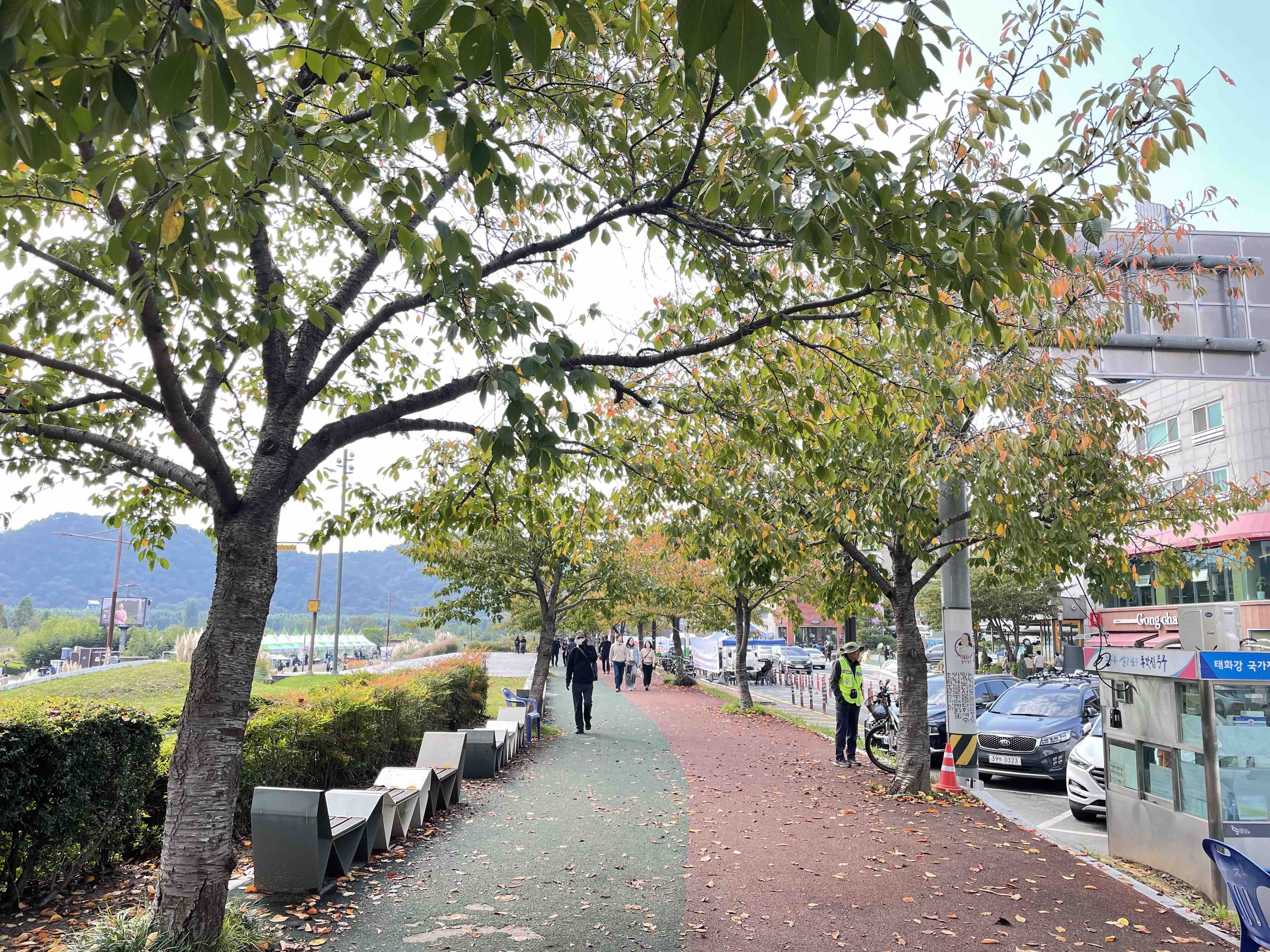 태화강 국가정원길에 보행자도로와 자전거 도로를 재정비 부탁드립니다. 이미지(2)