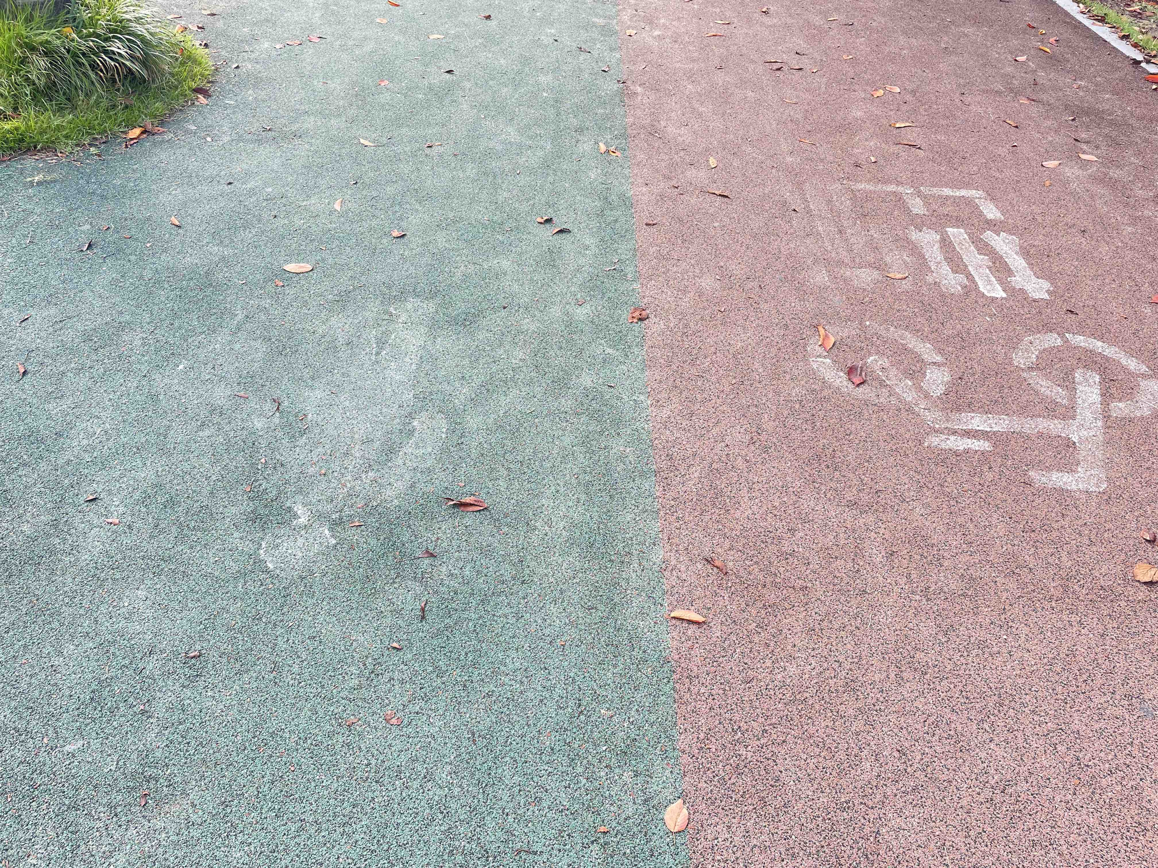 태화강 국가정원길에 보행자도로와 자전거 도로를 재정비 부탁드립니다. 이미지(4)