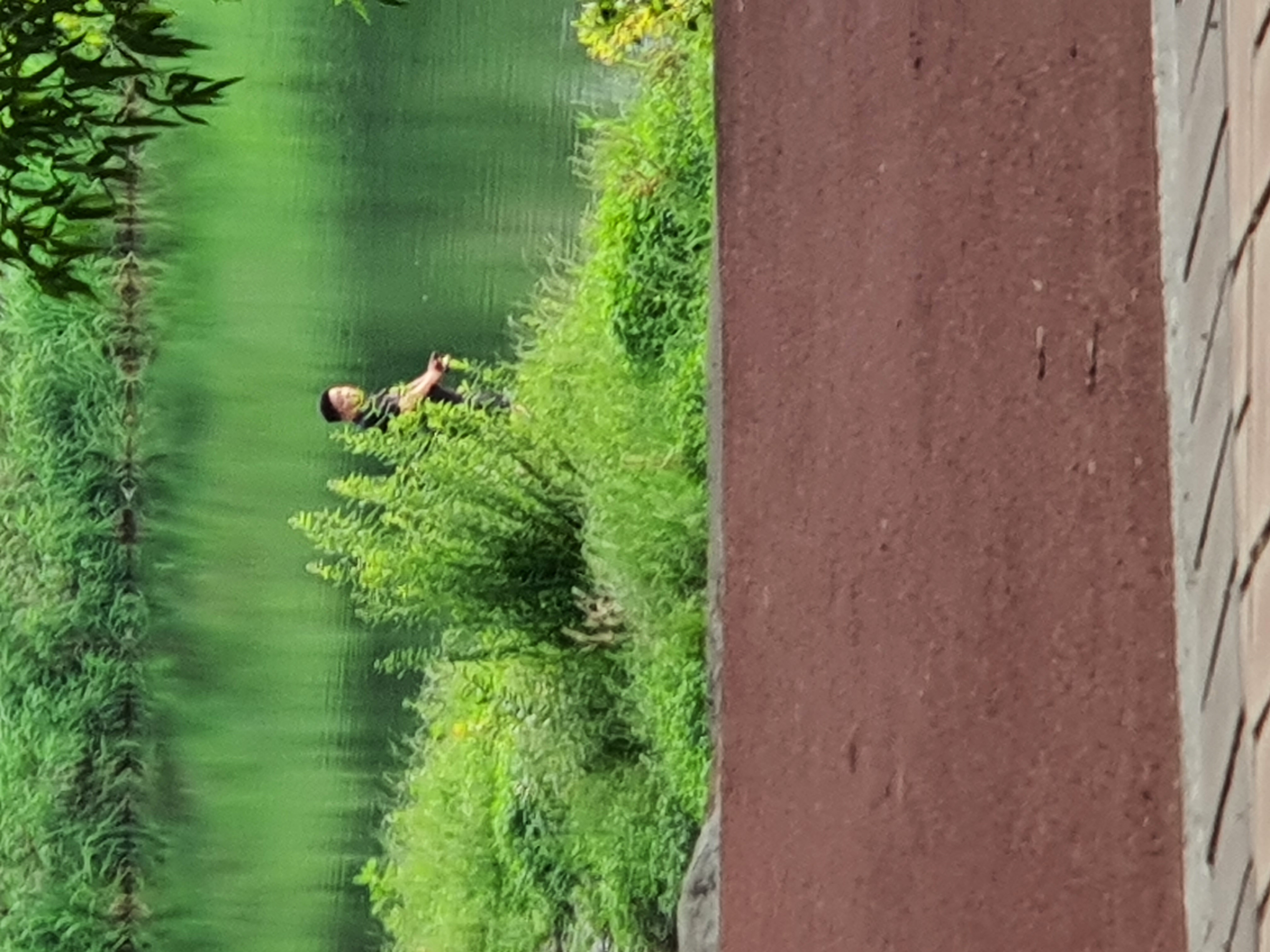 복지부동 이미지(1)