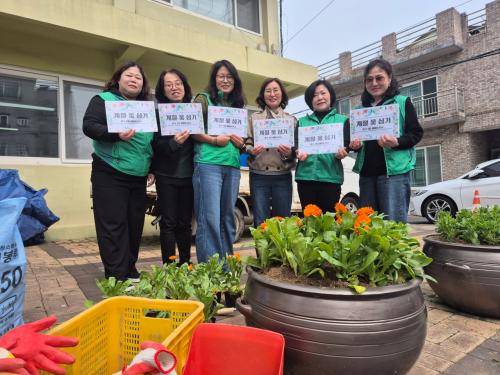 반구1동 새마을문고회, 행정복지센터 일대에 봄맞이 초화 식재
