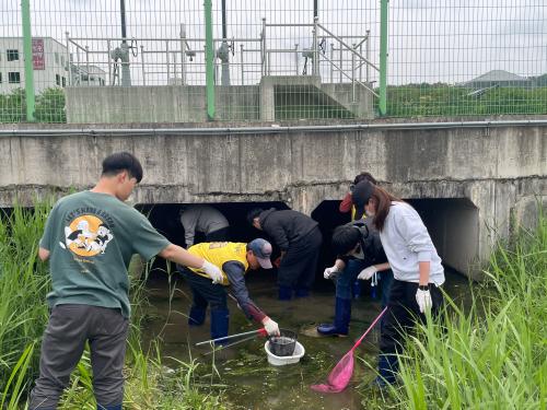 지역 대학생, 황방산 두꺼비 살리기 팔 걷었다!