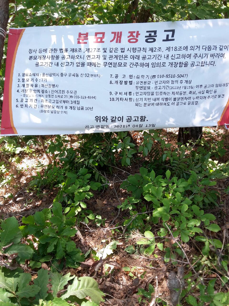 분묘개장공고 (2차) 울산광역시 중구 유곡동 산 92 이미지(1)