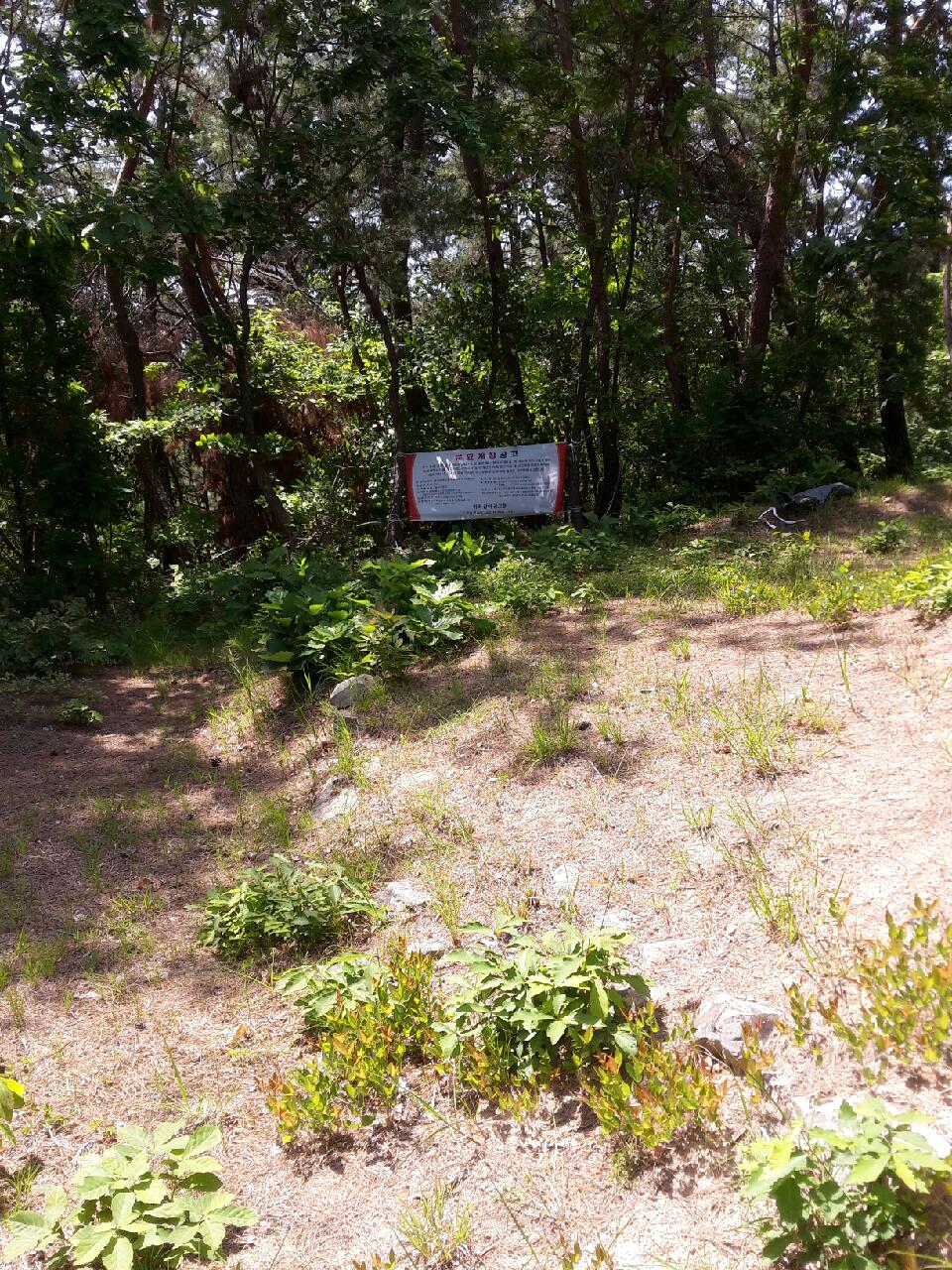 분묘개장공고 (2차) 울산광역시 중구 유곡동 산 92 이미지(2)