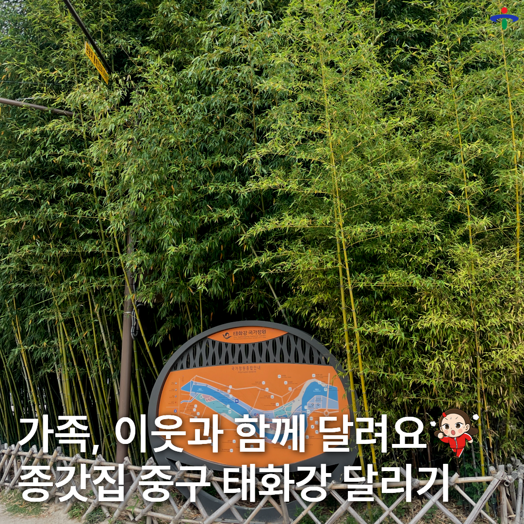 태화강달리