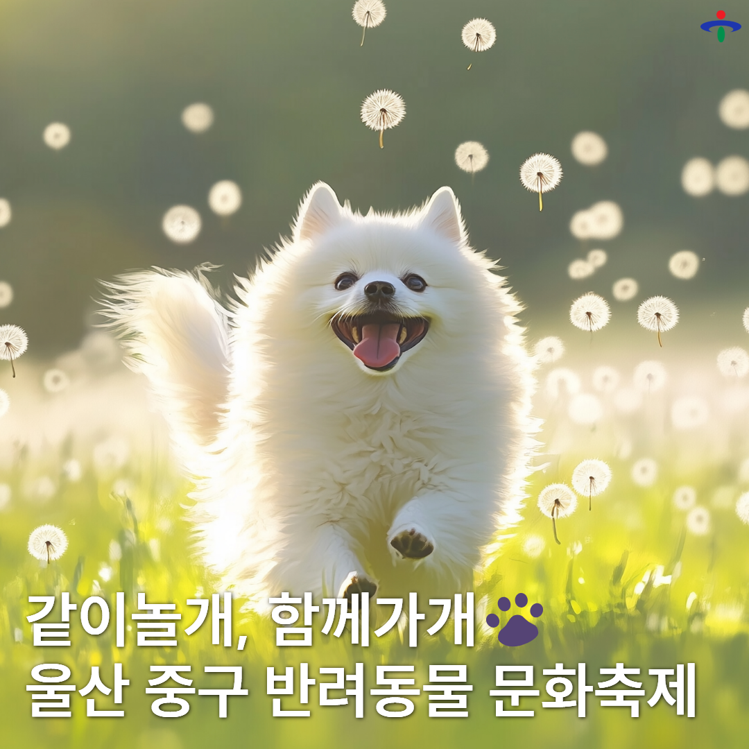 반려동물 문화축제