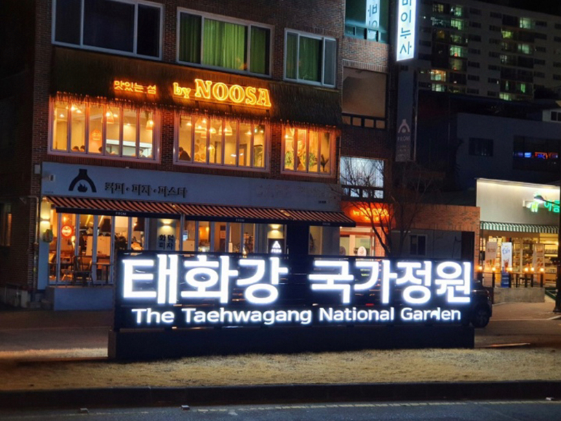 바이누사 이미지