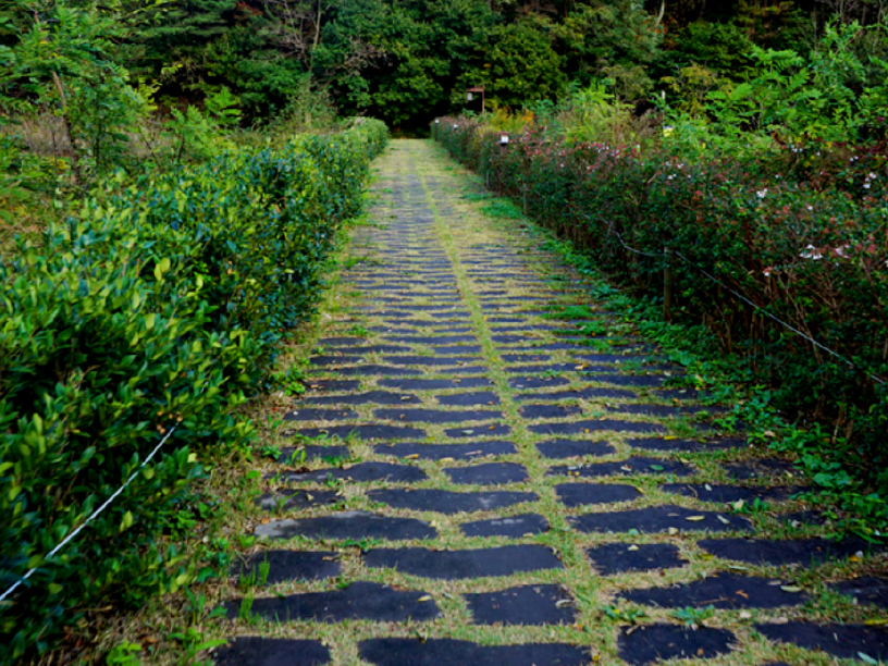 성안옛길 이미지