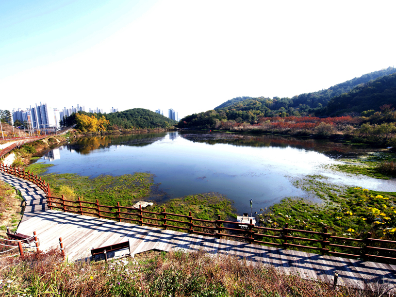 중구 누리길 이미지