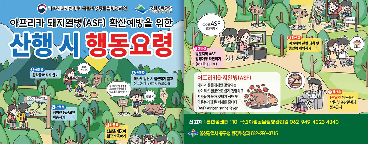 기후에너지환경부 국립야생동물질병관리원 국립공원공단
아프리카 돼지열병(ASF) 확산예방을 위한
산행 시 행동요령
① 산행 전 : 방문지역 ASF 발생여부 확인하기(wadis.go.kr)
② 산행 중 : 정해진 등산로만 이용하기
③ 산행 중 : 음식물 버리지 않기
④ 산행 중 : 폐사체 발견 시 접근하지 말고 신고하기 
※ 신고 시 포상금 지급
⑤ 하산 후 : 신발을 깨끗이 털고 소독하기
⑥ 하산 후 : 귀가하여 신발 세척 및 등산복 세탁하기
⑦ 하산 후 : 1주일 간 양돈농가 방문 및 축산관계자 접촉금지
ㆍ아프리카돼지열병(ASF) 
돼지과 동물에게만 감염되는 바이러스 질병으로 쉽게 전염되고 치사율이 높아 멧돼지 생태 및 양돈농가에 큰 피해를 줍니다
(ASF : African swine fever)
아프리카돼지열병(ASF) 확산 차단을 위한 국민여러ㅓ분의 적극적인 협조 부탁드립니다.
ㆍ신고처 : 통합콜센터 110, 국립야생동물질병관리원 062-949-4323·4340
울산광역시 중구청 환경위생과 052-290-3715