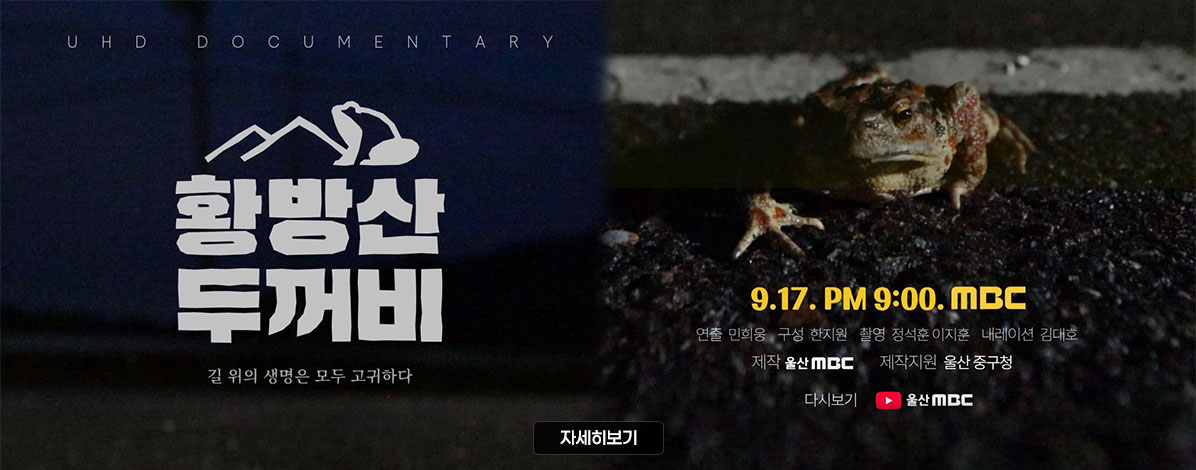 UHD DOCUMENTARY
황방산 두꺼비
길 위의 생명은 모두 고귀하다
9. 17. PM 9:00. MBC
ㆍ연출 민희웅
ㆍ구성 한지원
ㆍ촬영 정석훈, 이지훈
ㆍ내레이션 김대호
ㆍ제작 울산mbc
ㆍ제작지원 울산 중구청
다시보기 울산MBC 유튜브
자세히보기