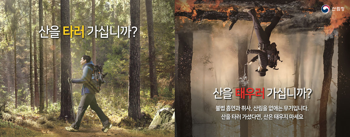 산림 내 불법흡연 및 취사 금지